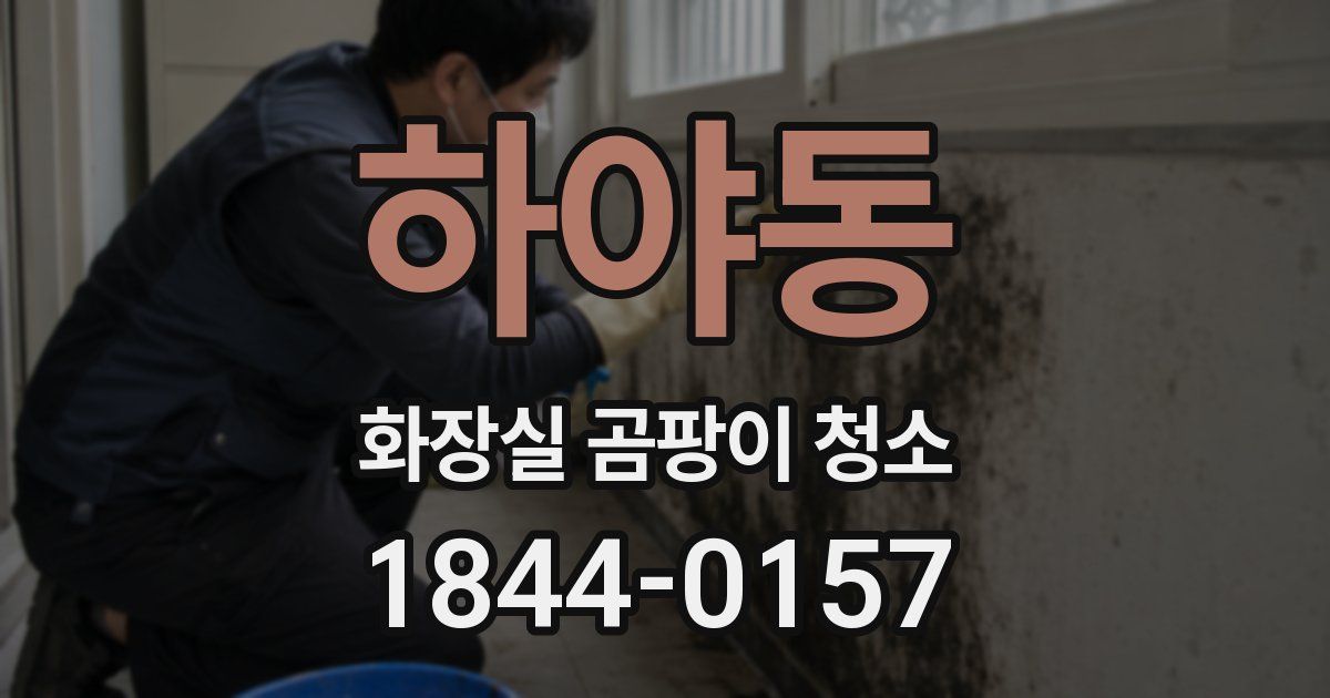 하야동 화장실 곰팡이 청소