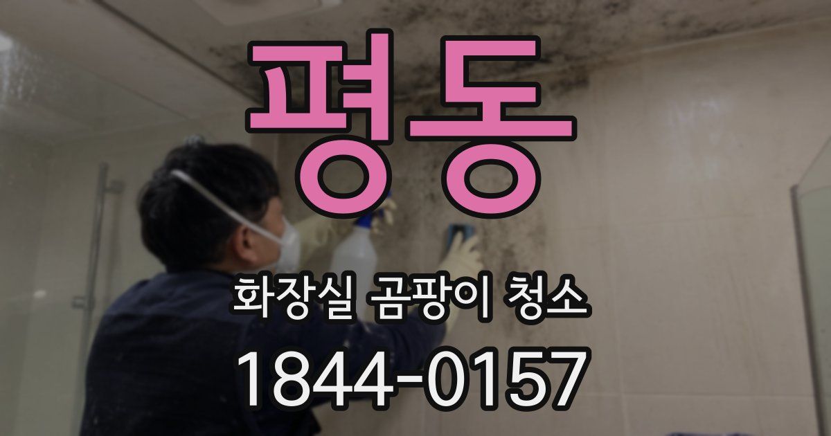 평동 화장실 곰팡이 청소