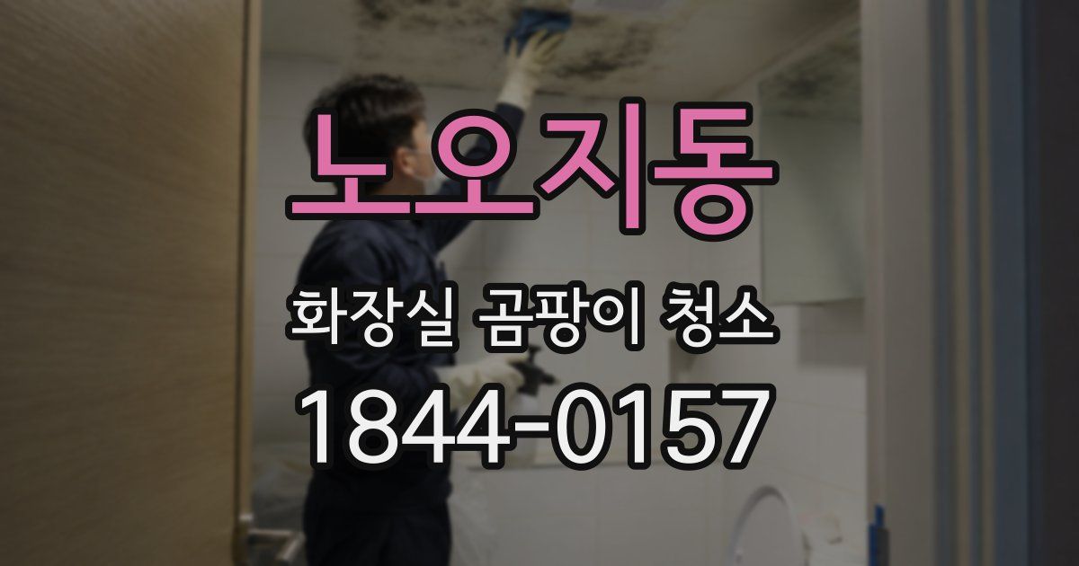 노오지동 화장실 곰팡이 청소