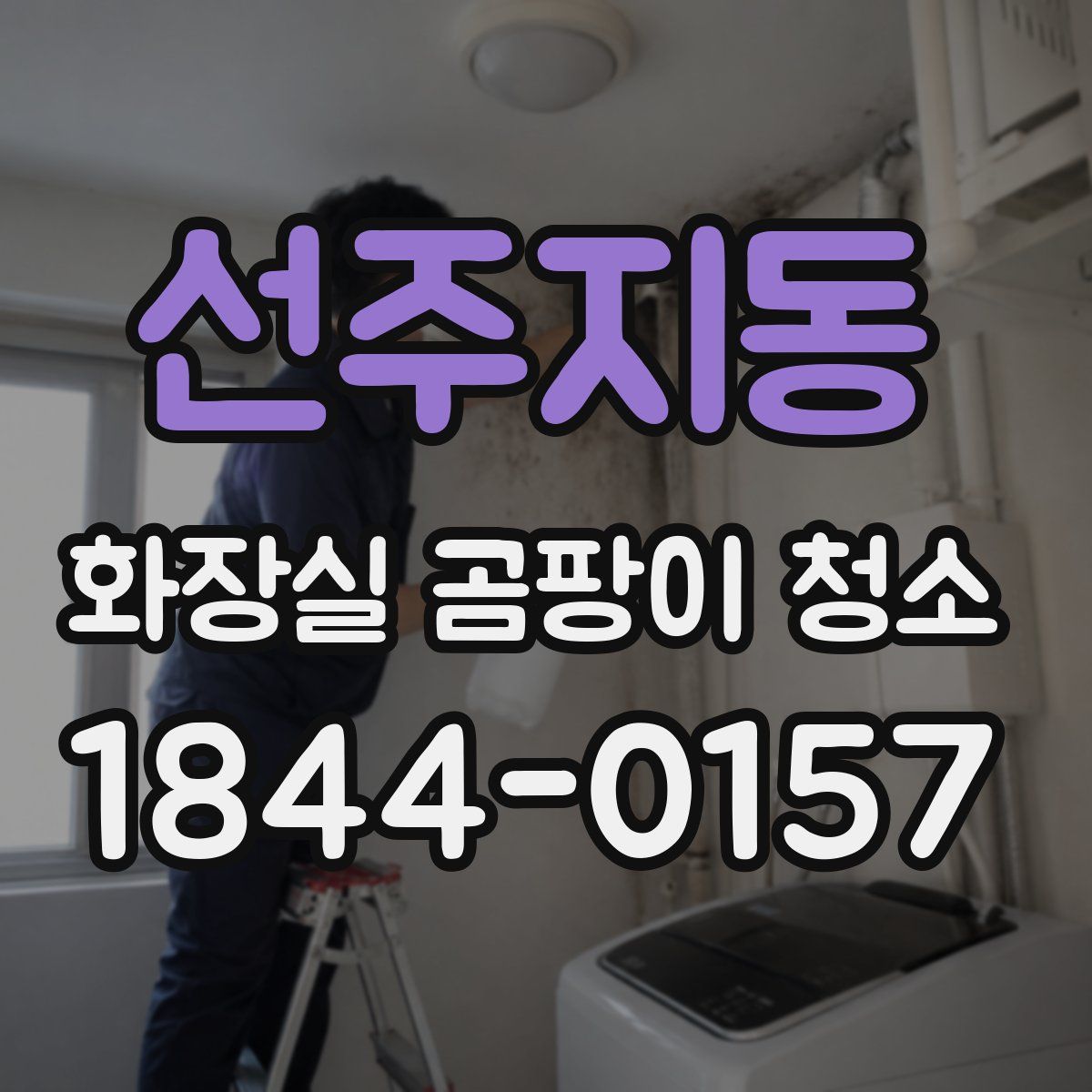 선주지동 화장실 곰팡이 청소