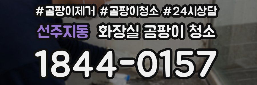 선주지동 화장실 곰팡이 청소