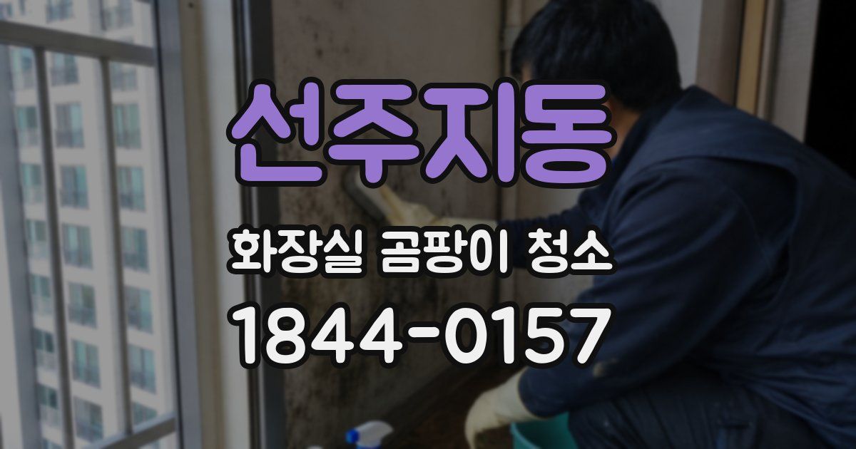 선주지동 화장실 곰팡이 청소