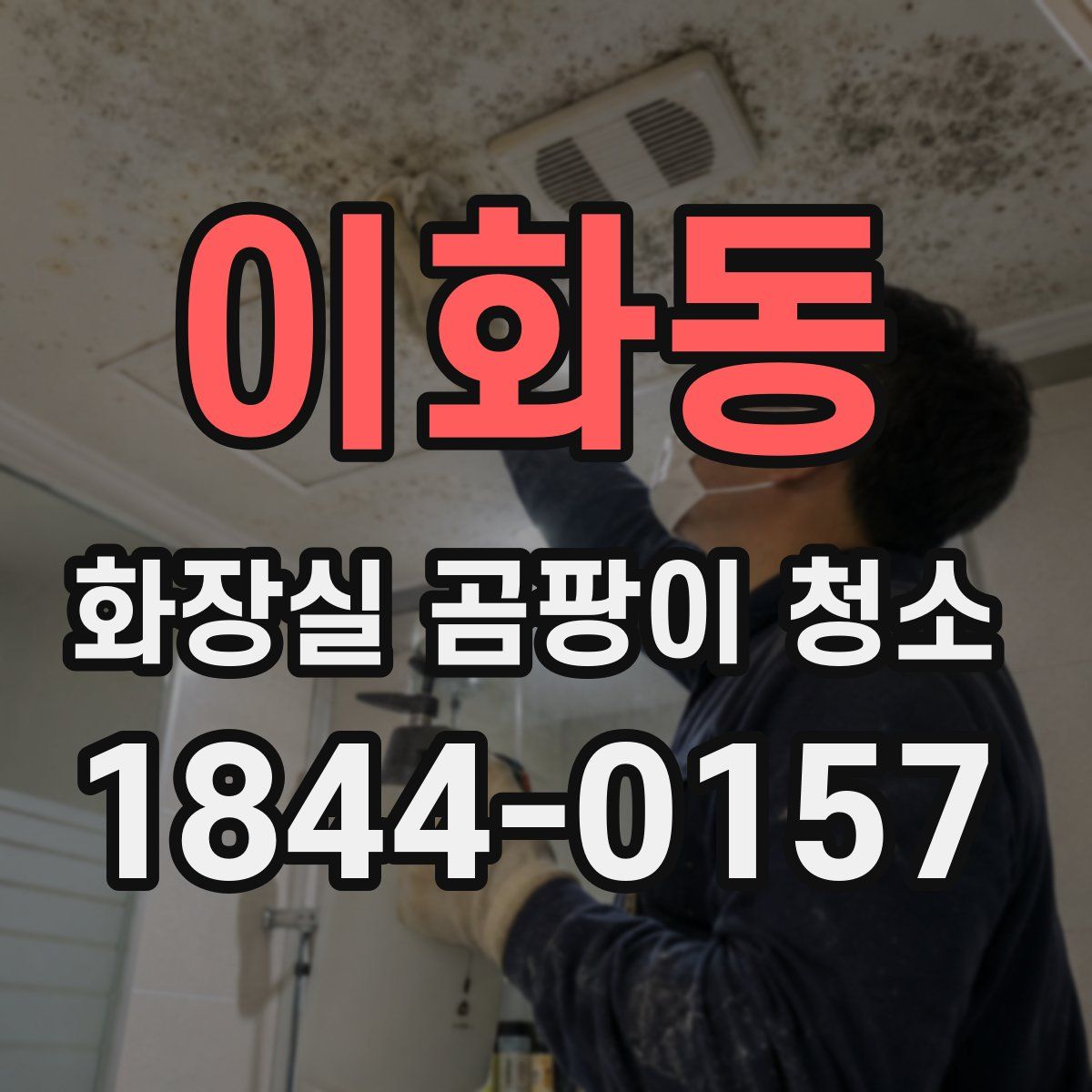이화동 화장실 곰팡이 청소