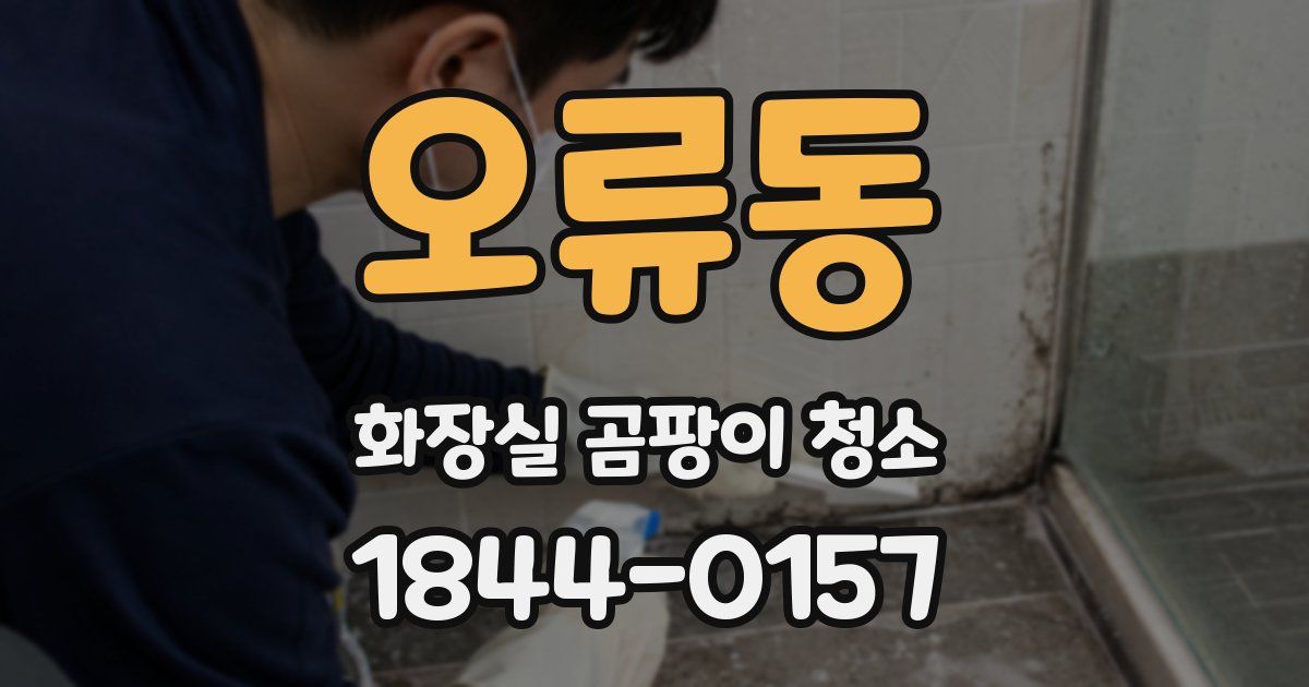오류동 화장실 곰팡이 청소
