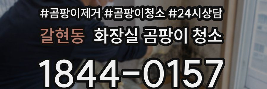 갈현동 화장실 곰팡이 청소