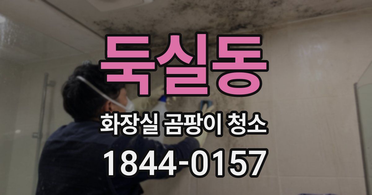 둑실동 화장실 곰팡이 청소