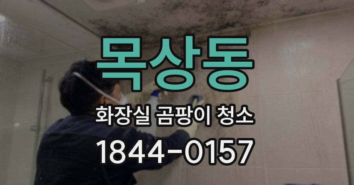 목상동 화장실 곰팡이 청소