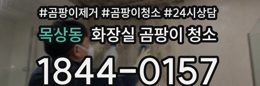 목상동 화장실 곰팡이 청소