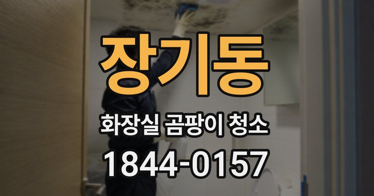 장기동 화장실 곰팡이 청소