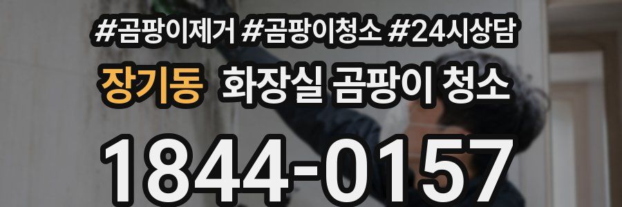 장기동 화장실 곰팡이 청소