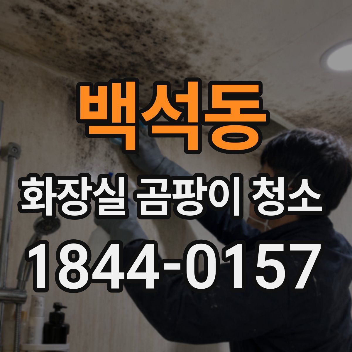 백석동 화장실 곰팡이 청소
