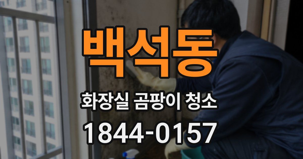 백석동 화장실 곰팡이 청소