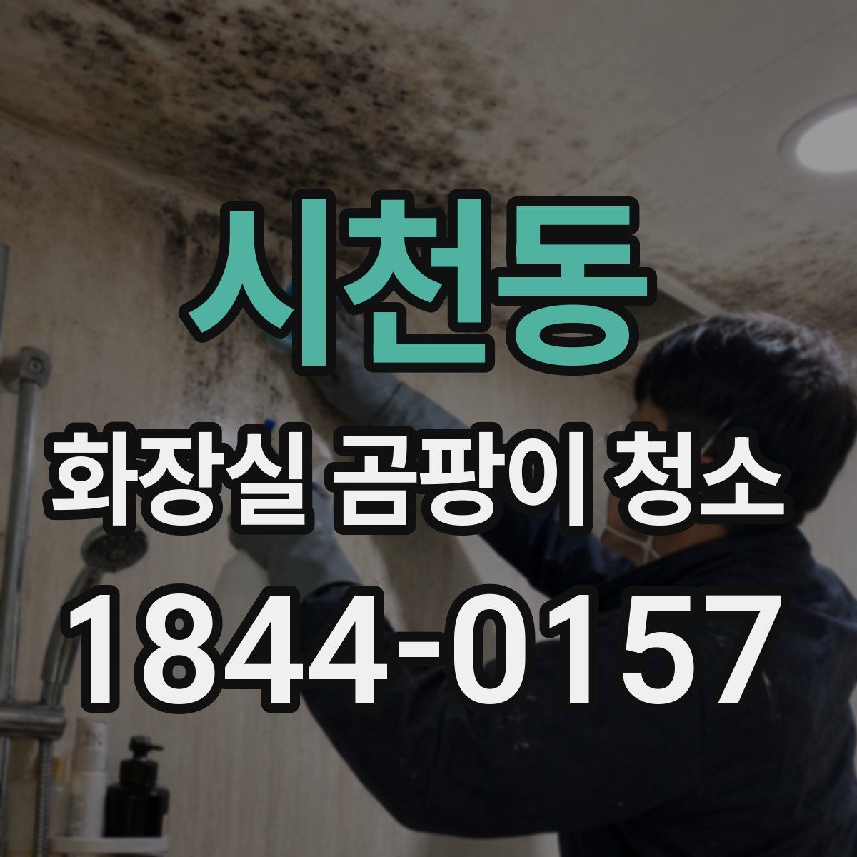 시천동 화장실 곰팡이 청소