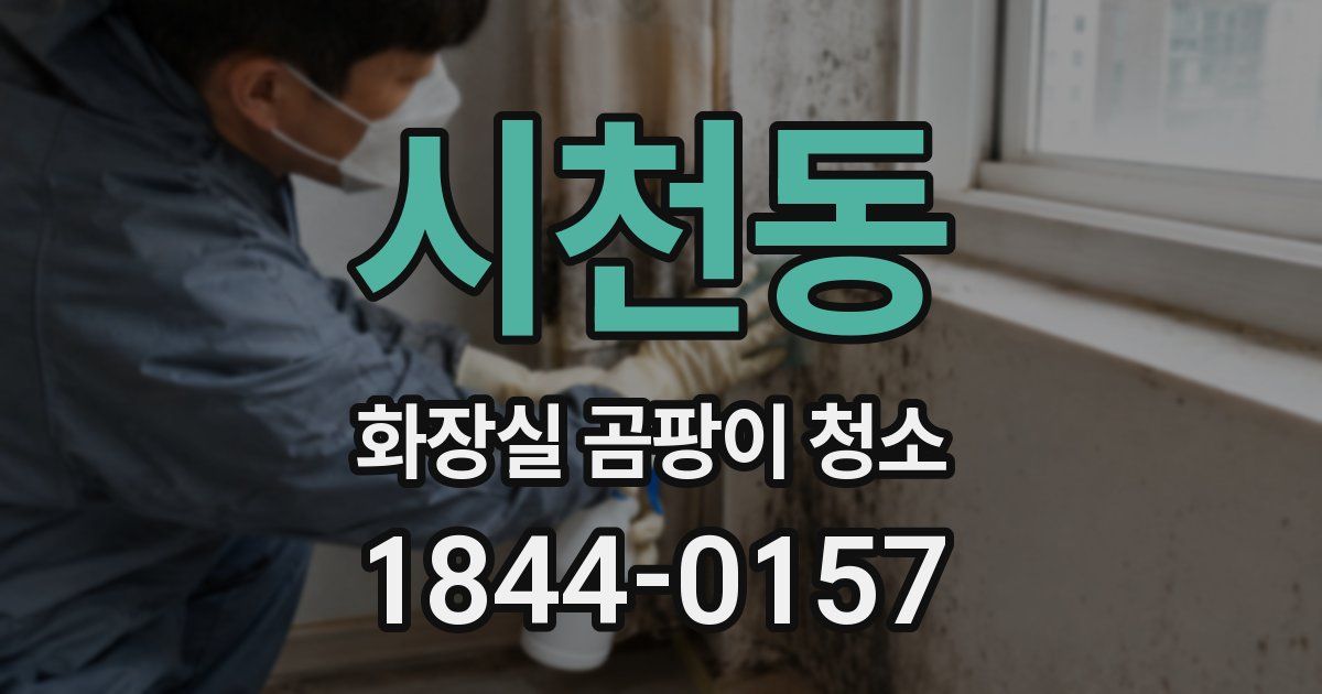 시천동 화장실 곰팡이 청소