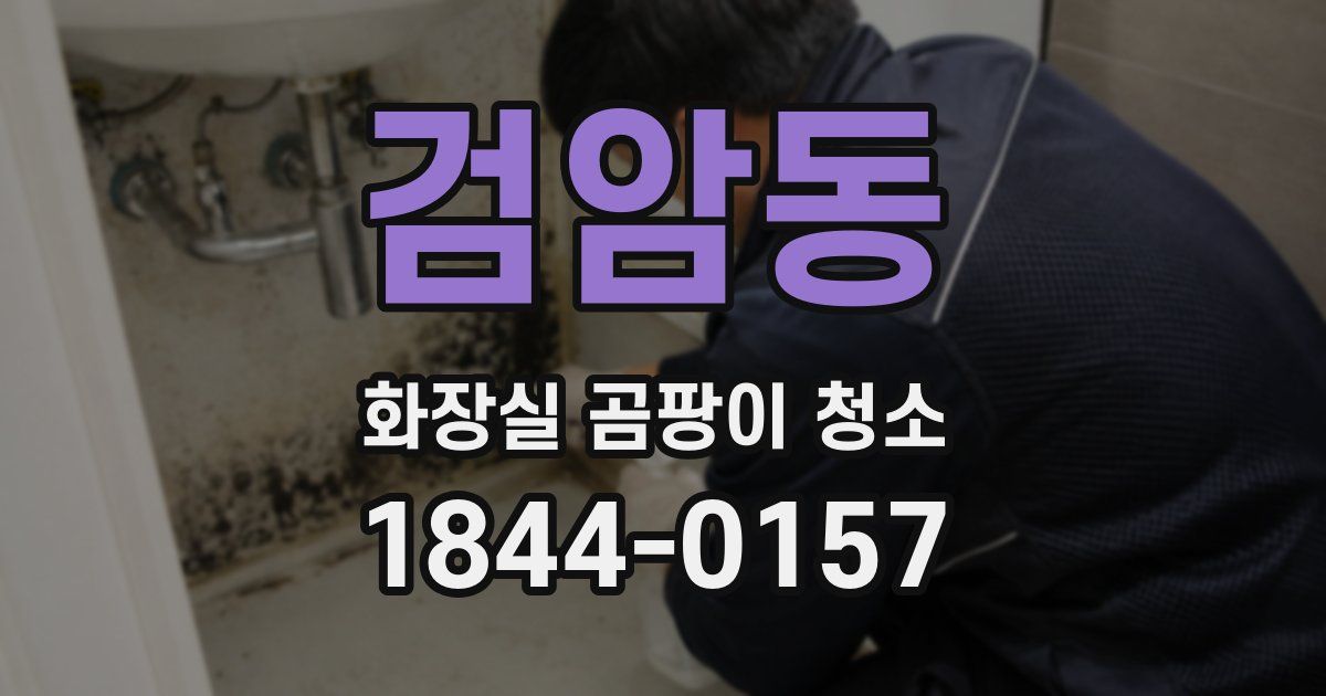 검암동 화장실 곰팡이 청소