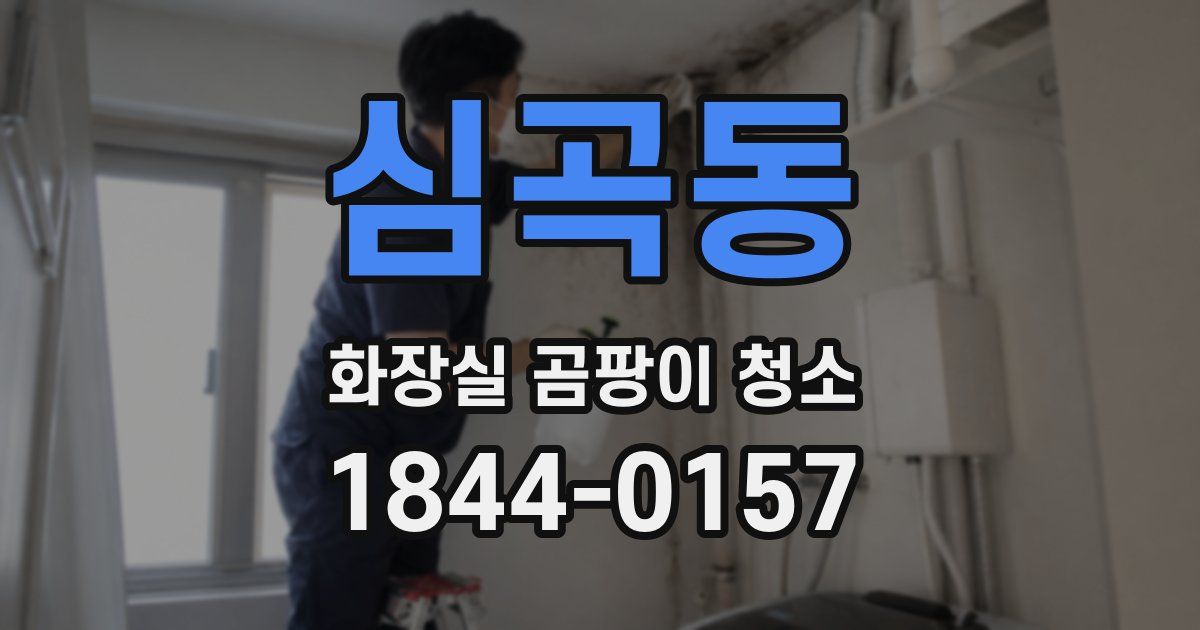 심곡동 화장실 곰팡이 청소