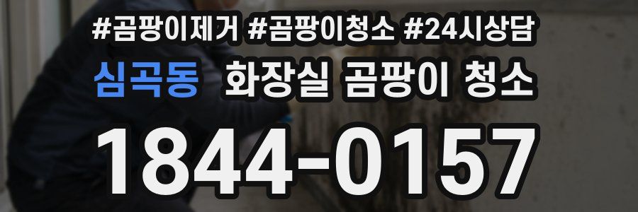 심곡동 화장실 곰팡이 청소
