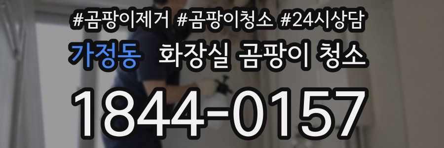 가정동 화장실 곰팡이 청소