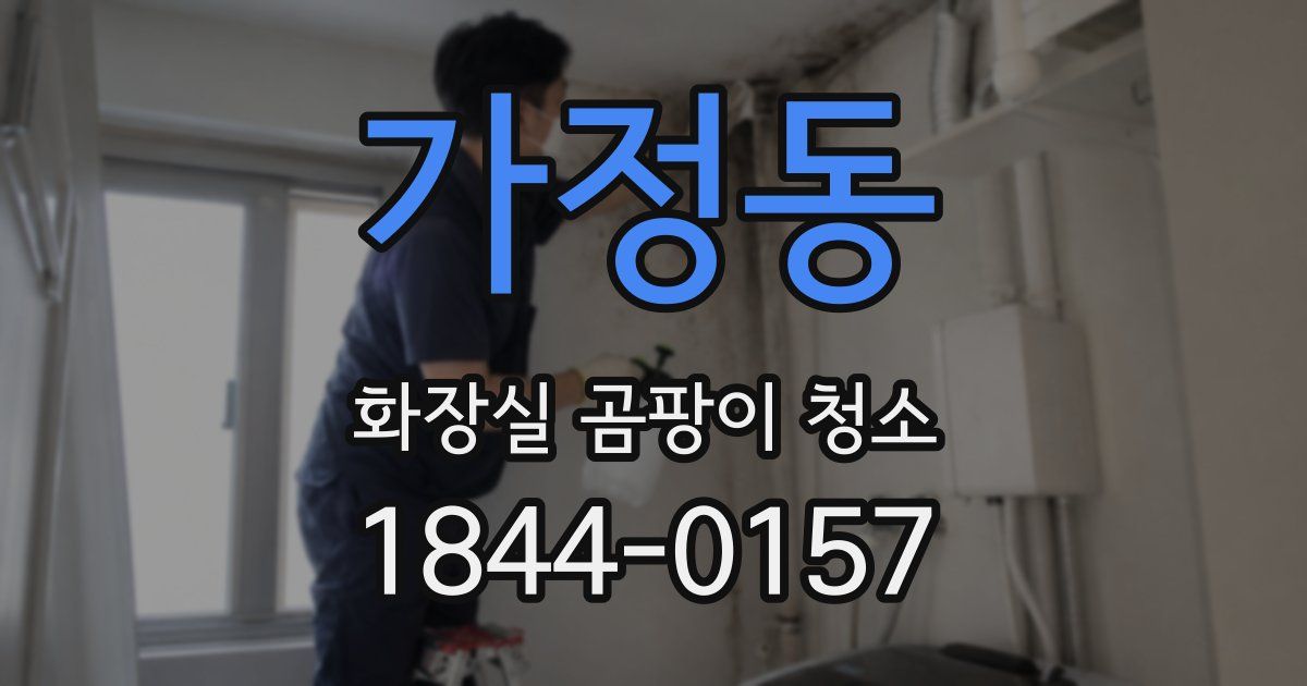 가정동 화장실 곰팡이 청소