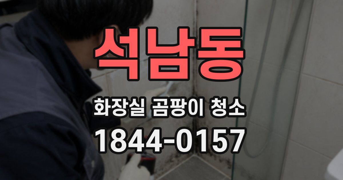 석남동 화장실 곰팡이 청소