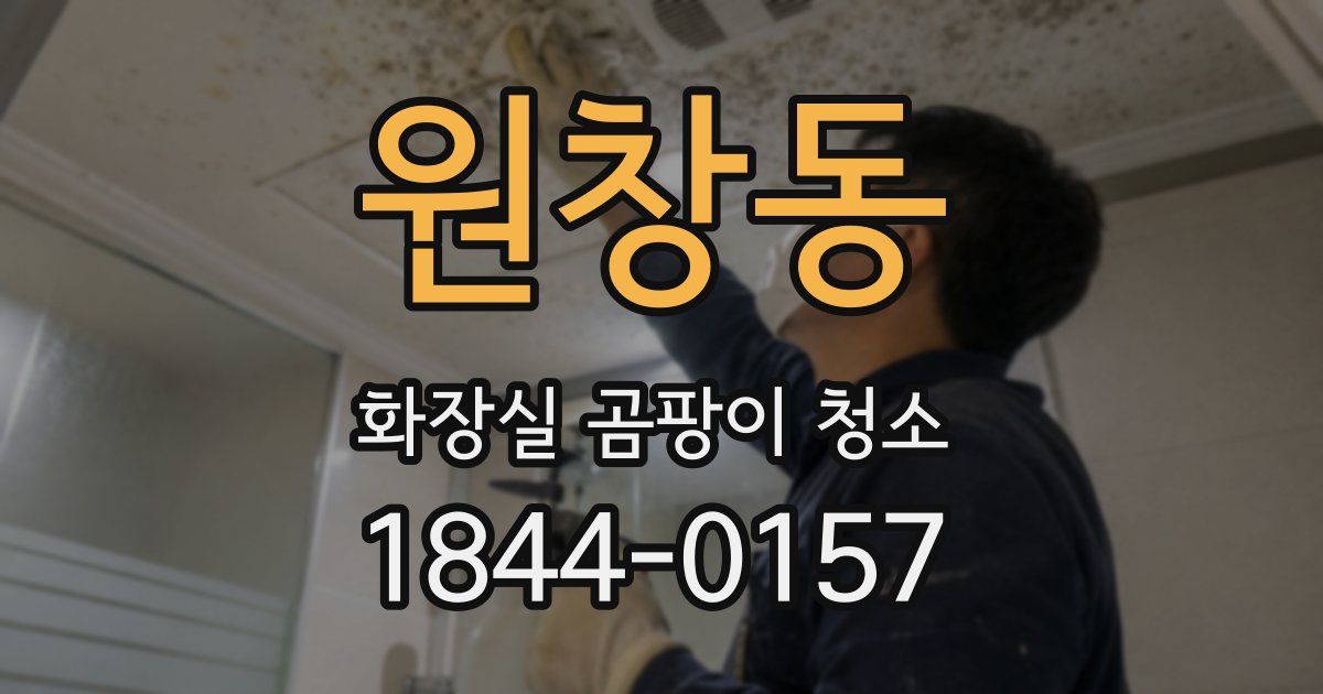 원창동 화장실 곰팡이 청소