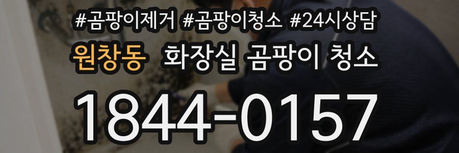 원창동 화장실 곰팡이 청소
