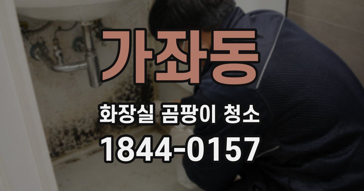 가좌동 화장실 곰팡이 청소