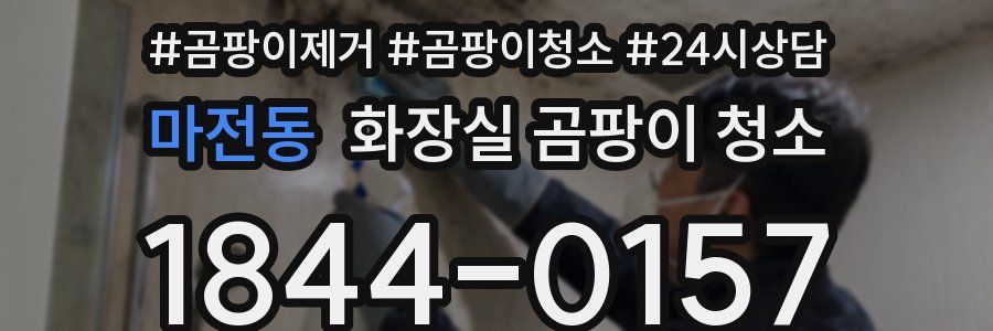마전동 화장실 곰팡이 청소