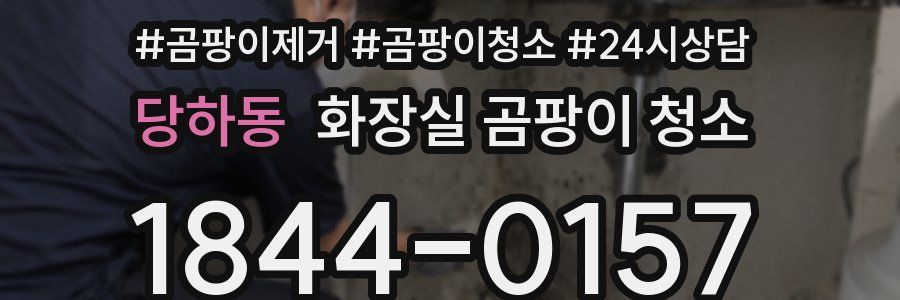 당하동 화장실 곰팡이 청소