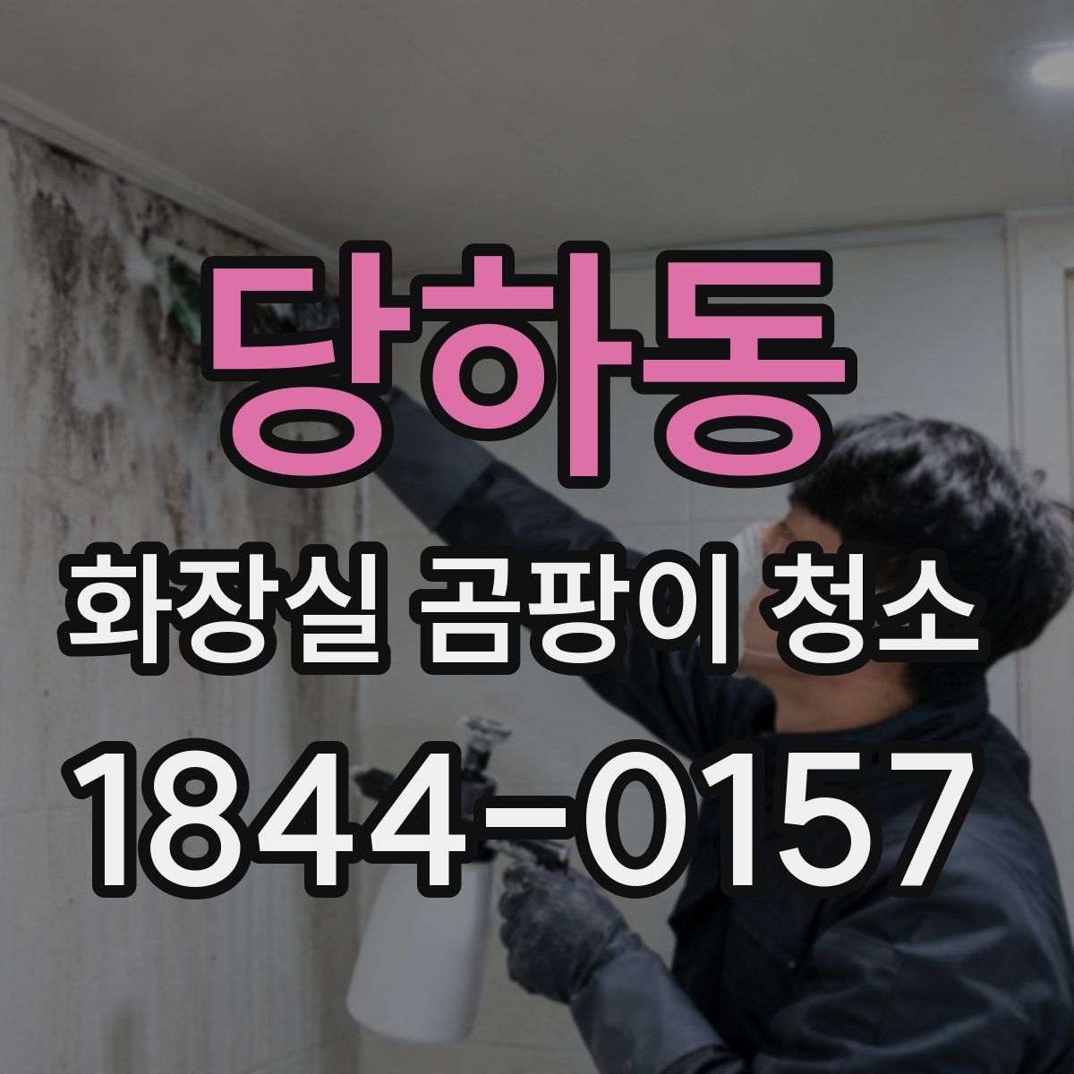 당하동 화장실 곰팡이 청소