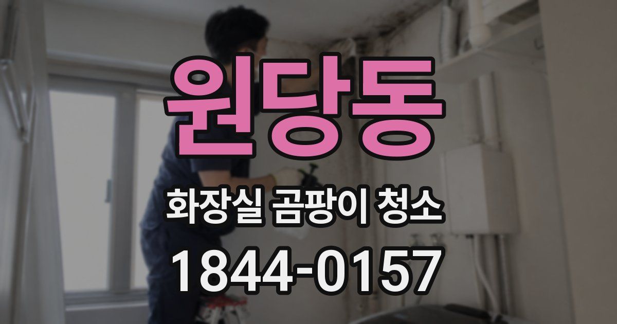 원당동 화장실 곰팡이 청소