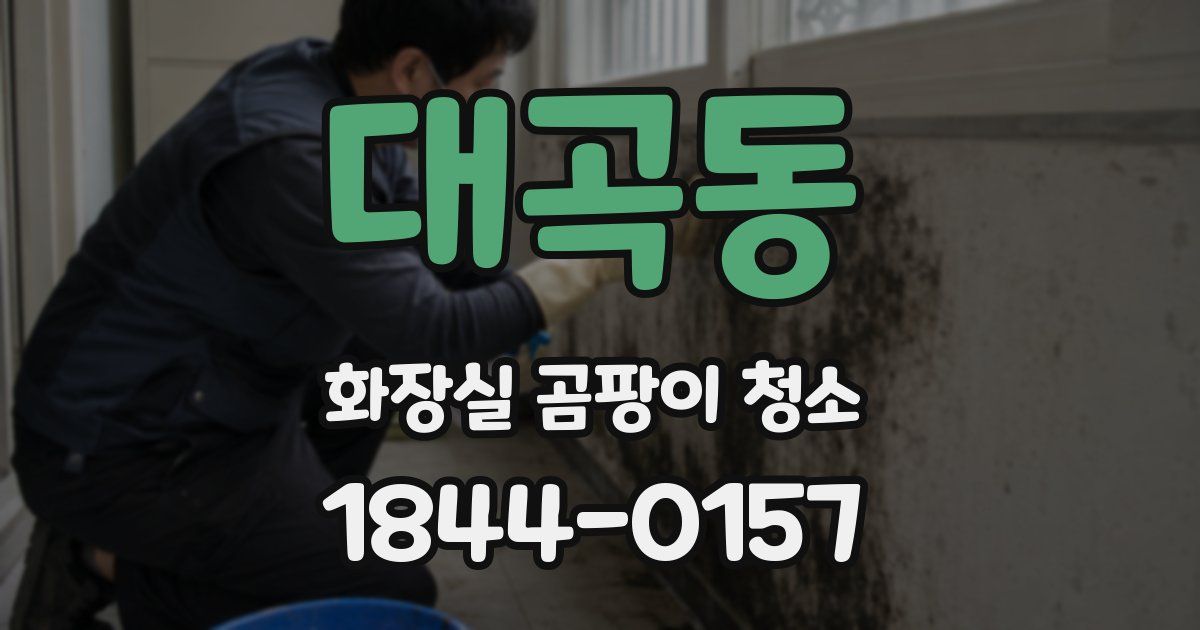 대곡동 화장실 곰팡이 청소