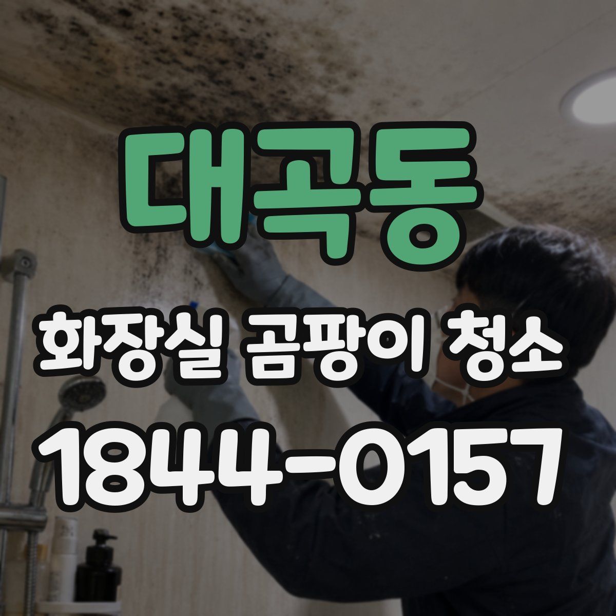 대곡동 화장실 곰팡이 청소