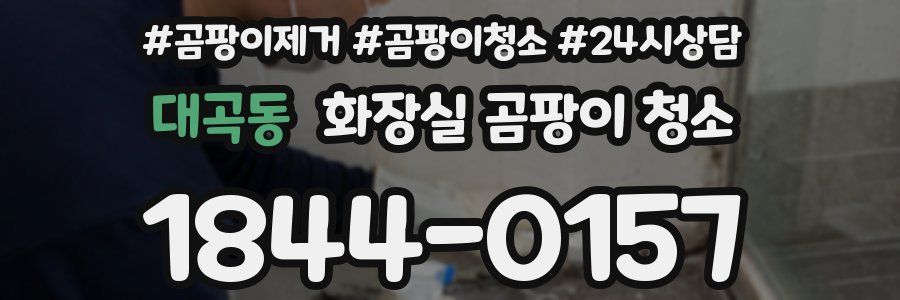 대곡동 화장실 곰팡이 청소