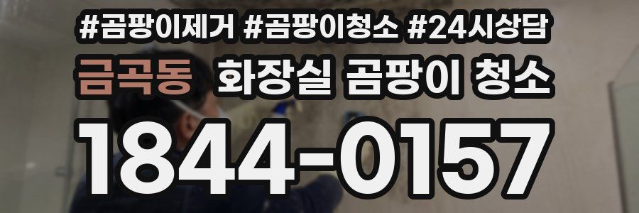 금곡동 화장실 곰팡이 청소