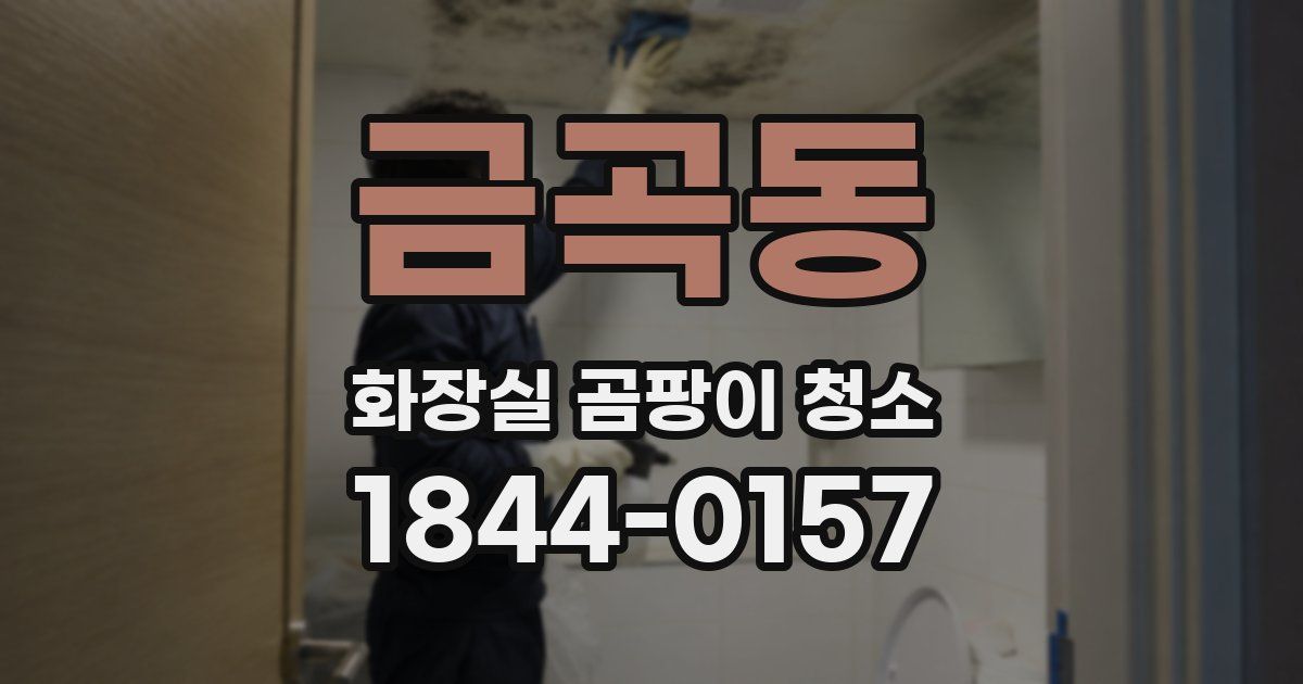 금곡동 화장실 곰팡이 청소