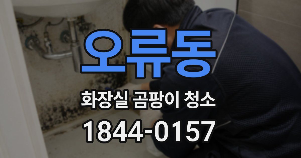 오류동 화장실 곰팡이 청소