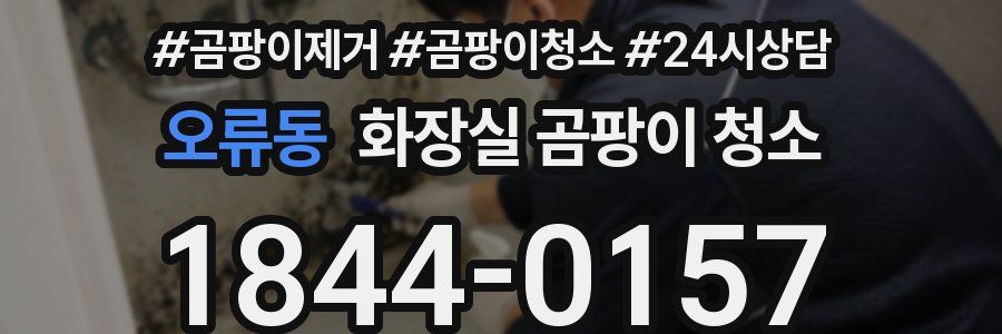 오류동 화장실 곰팡이 청소