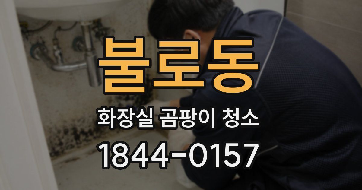 불로동 화장실 곰팡이 청소