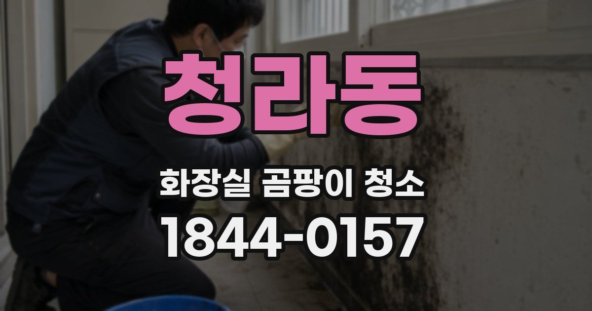 청라동 화장실 곰팡이 청소