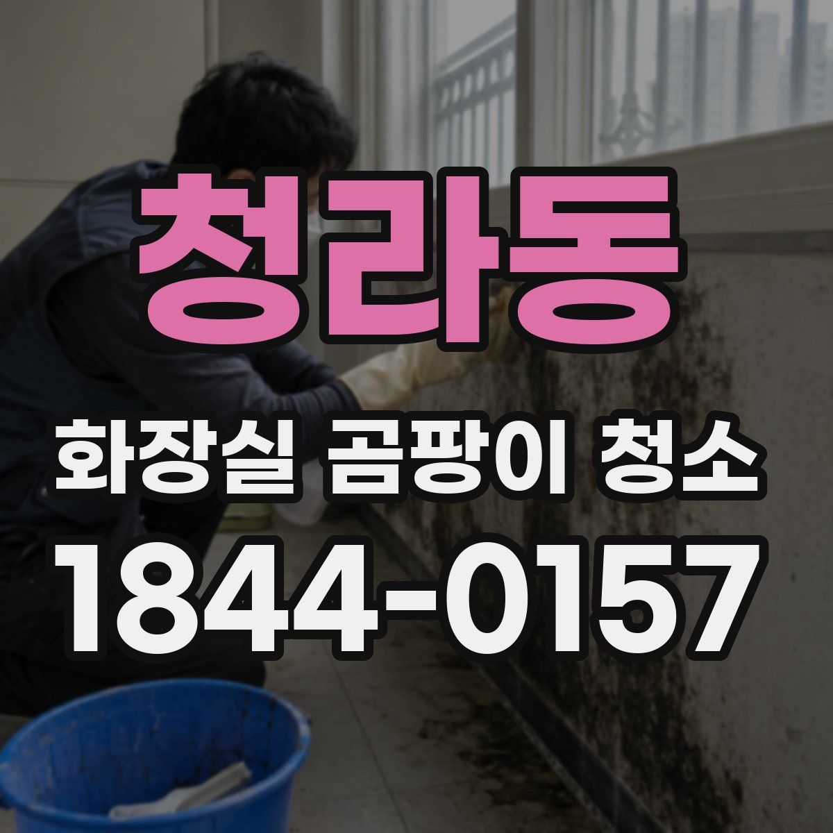 청라동 화장실 곰팡이 청소