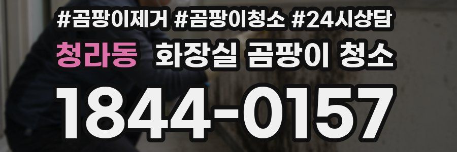 청라동 화장실 곰팡이 청소