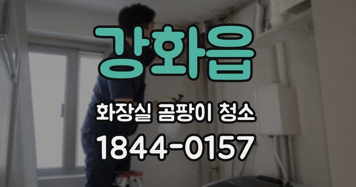 강화읍 화장실 곰팡이 청소