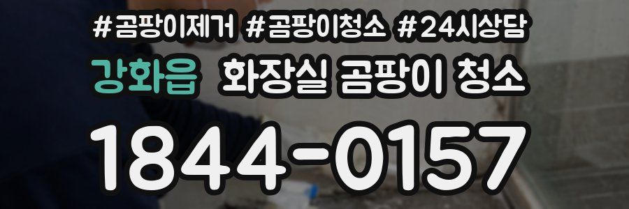 강화읍 화장실 곰팡이 청소