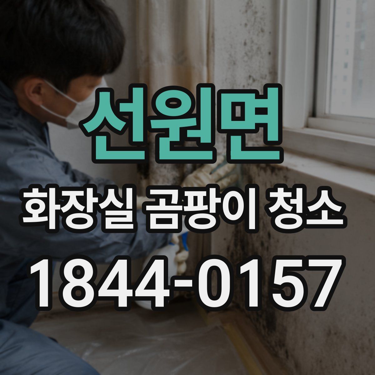 선원면 화장실 곰팡이 청소