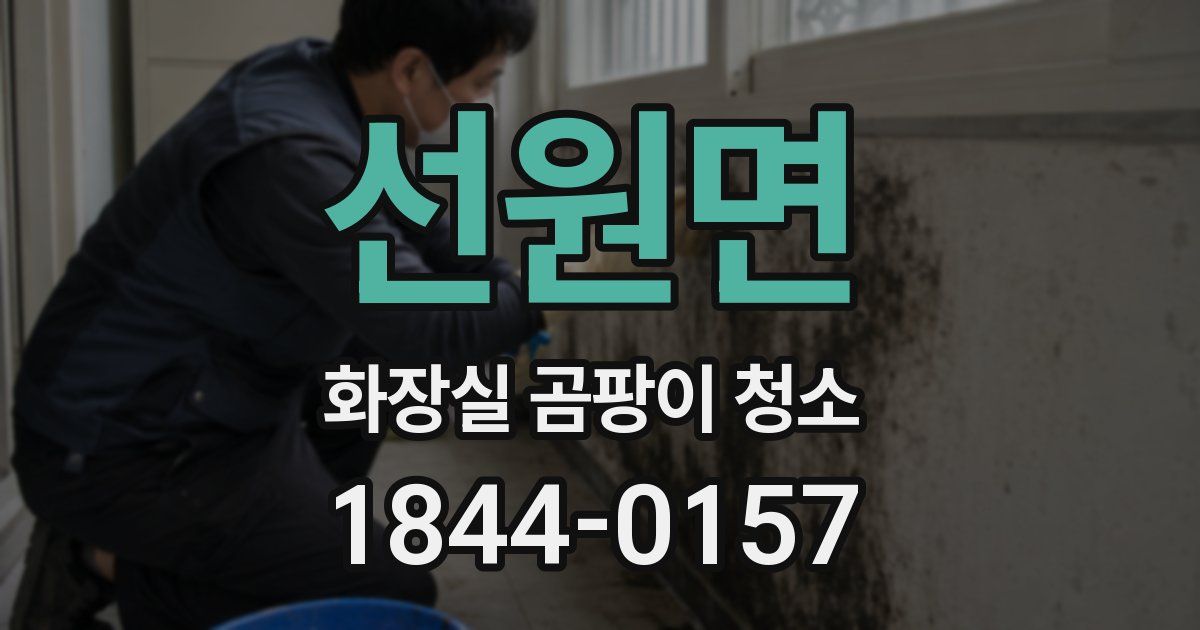 선원면 화장실 곰팡이 청소