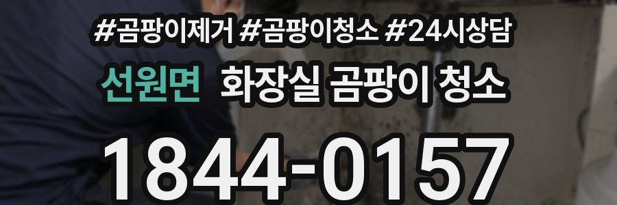 선원면 화장실 곰팡이 청소