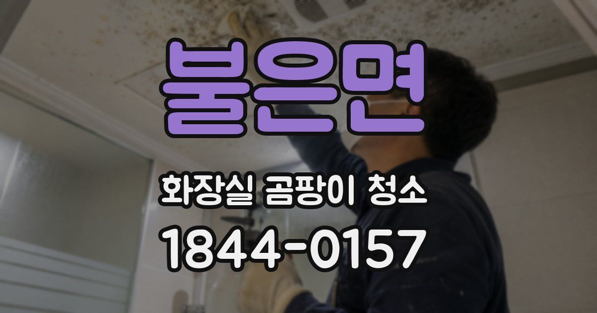 불은면 화장실 곰팡이 청소