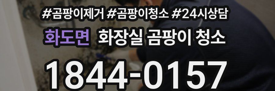 화도면 화장실 곰팡이 청소