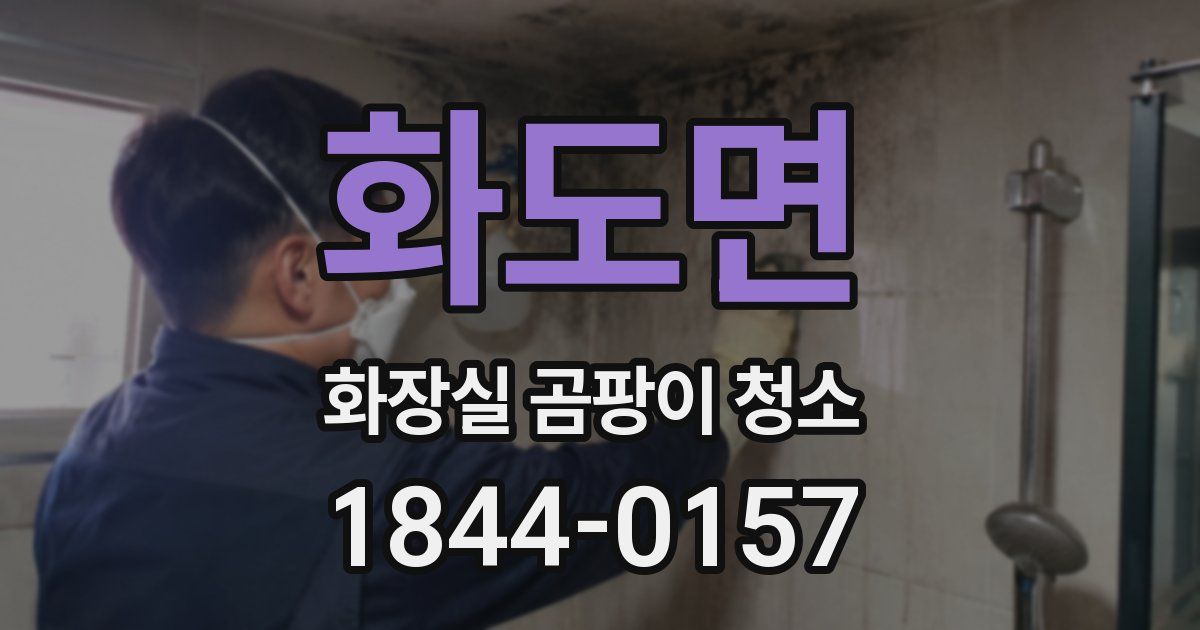 화도면 화장실 곰팡이 청소